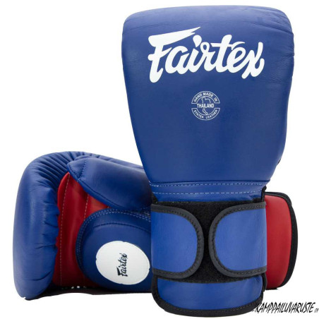 Fairtex BGV13 Coach Sparring GlovesBGV13Fairtex€112.10€112.10Kamppailuvaruste