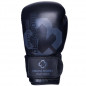 Budo-Nord Fight Gear Boxing glove PRO