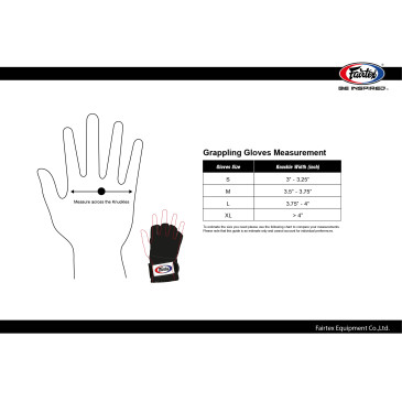 Fairtex MMa Sparring Gloves - FGV15