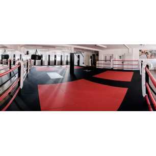 ZEBRA Mats Tatamisarja 1m x 2m x 40mm