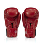 Fairtex BGV27 Amateur Boxing Gloves - Red