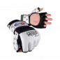 Fairtex NHB Sparring Gloves -FGV17