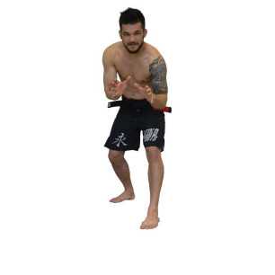 Keiko Fighter 2.0 Shorts