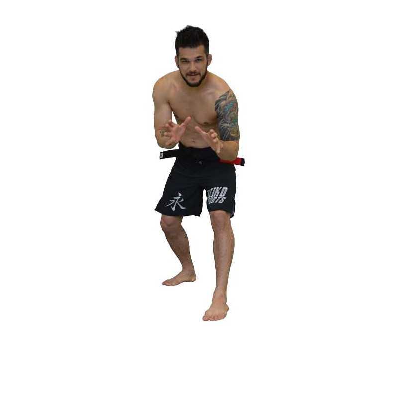 Keiko Fighter 2.0 Shorts till ett lågt pris TJJS Kamppailuvaruste Oy snabb leverans
