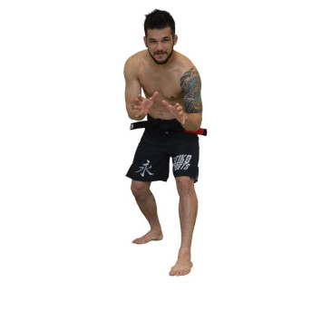 KeikoTJJS Kamppailuvaruste Oy|Keiko Fighter 2.0 Shorts|50,00 €|