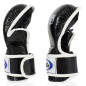 Fairtex FGV15 MMa Sparring Gloves