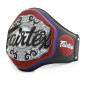 Fairtex BPV3 - Trainers Light-Weight Belly Pad