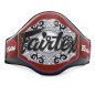 Fairtex BPV3 - Trainers Light-Weight Belly Pad