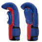 Fairtex BGV13 Tränare Sparring handskar