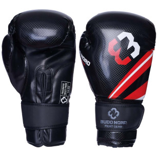 Budo-Nord Hook boxing gloves