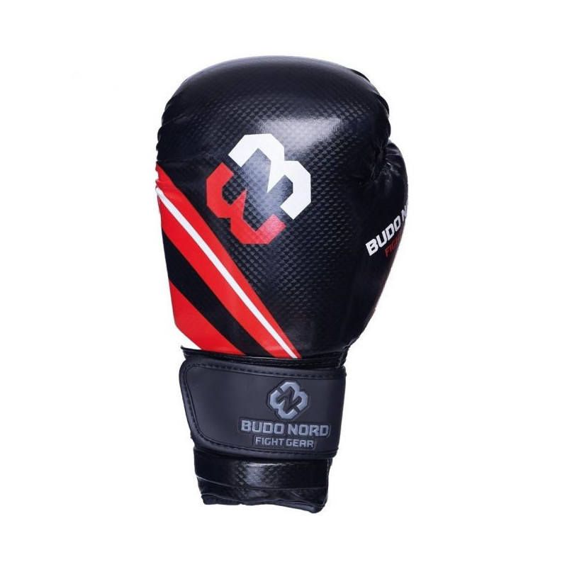 Budo-Nord Hook boxing gloves