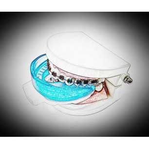 Mouth Protector Hadar with box