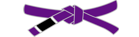 BJJ No-Gi purple belt category